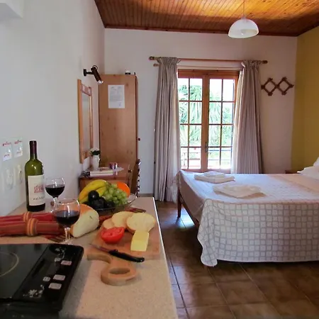 Spiti Melianou Apartamento Agios Georgios Pagon