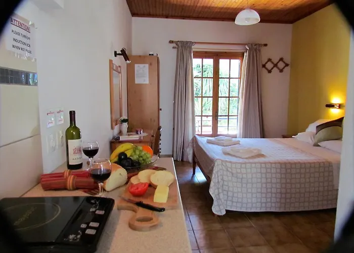Spiti Melianou Apartment Agios Georgios Pagon