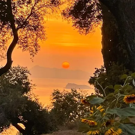 Spiti Melianou דירה